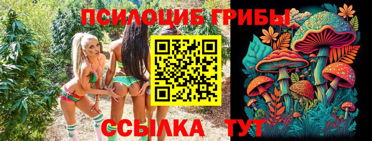 Галлюциногенные грибы Magic Shrooms  Псилоцибиновые грибы GOLDEN TEACHER  Вход с VPN  даркнет сайт  Сертолово 